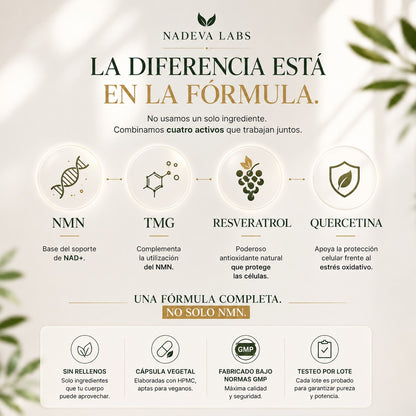 NMN Avanzado - Fórmula Completa NAD+ para Rejuvenecimiento Celular, Claridad Mental y Longevidad